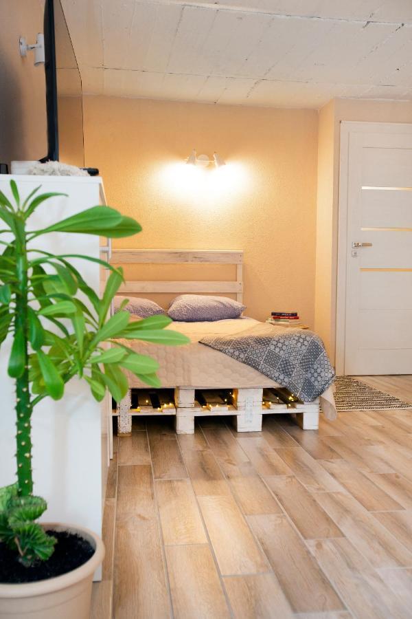 Apartment In Garage With Free Parking คอนัส ภายนอก รูปภาพ